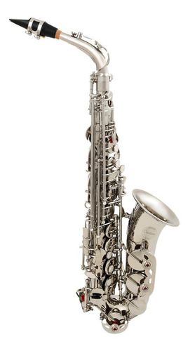 Saxofone Alto Cromado Niquelado Custom Eb Mib + Estojo  Loja