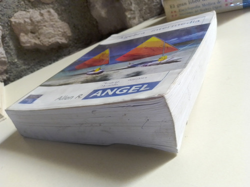 Algebra Intermedia - Allen R. Angel (Usado)