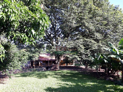 Imagem 5 de 8 de Chácara Residencial À Venda, Jardim Santa Hermínia, São José Dos Campos. - Ch0055