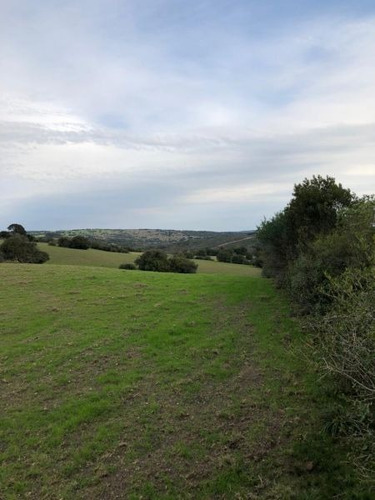 Quinta En Venta En Maldonado