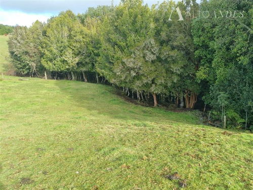 Imagen 15 de 19 de Sitio En Venta En Los Muermos