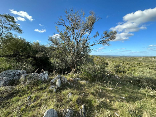 Oportunidad Chacras 5 Hectareas En Maldonado. Sierras De Aigua, Ruta 109. Con Arroyo, Cañadas, Monte Nativo.
