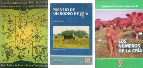 Manejo Rodeo Cría + Ganadería Paralela + Números De La Cría