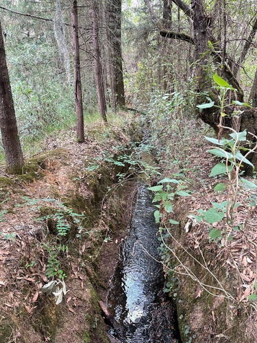 Terreno En Jilotzingo