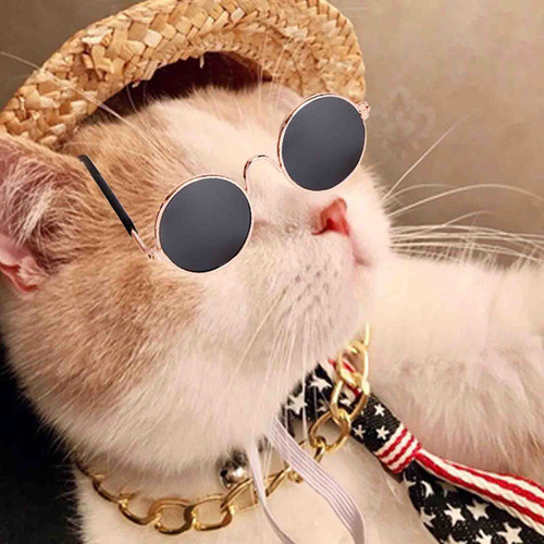 Para Set De Joyas De Moda Duraderas Para Mascotas, Gafas De