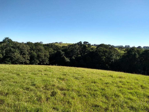 Imagem 13 de 14 de Chácara, Sitio Mococa, São Miguel Arcanjo - R$ 2.2 Mi, Cod: 235116 - V235116