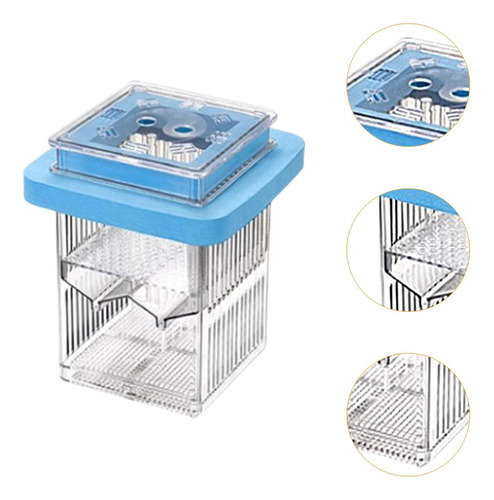 Mãe Incubadora De Peixes Divisor De Tanques De Peixes Azul