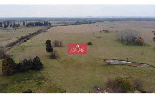 Campo De 20 Has Ubicado En Las Afueras De Nogoya