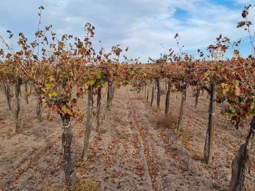 Imagen 27 de 30 de Finca Disponible En Fracciones Ideal Para Galpones O Loteo