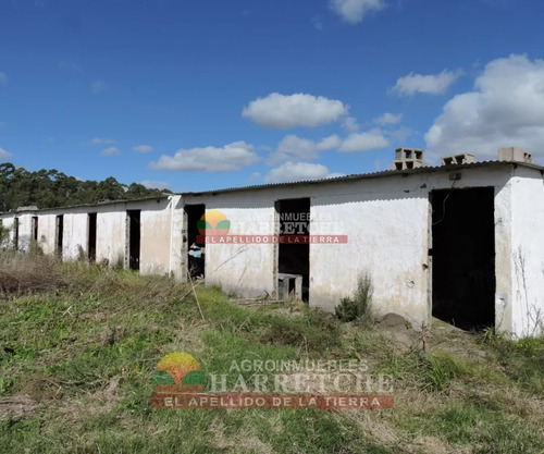 Chacra 4 Has Cno Calpino En Montevideo Rural