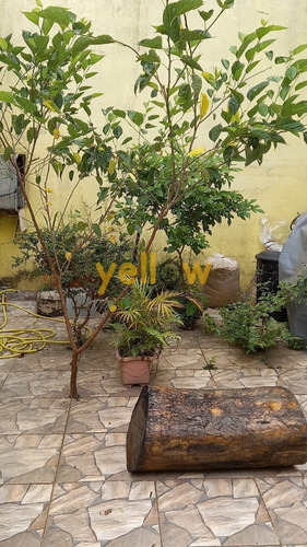 Imagem 10 de 11 de Casa - Jardim Iv Centenário - Ca-3695