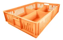 Comprar 3 Cajas Agricolas Plastico Para Pollitos Con Division Calada