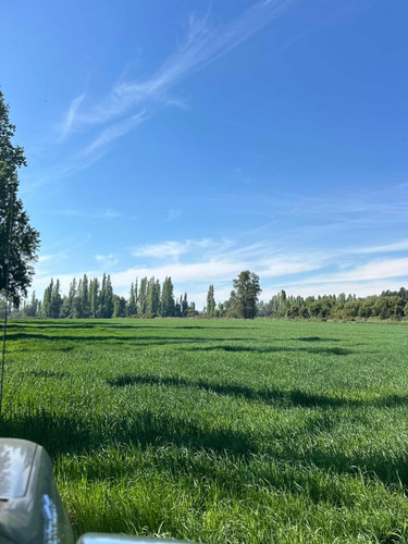 33 Has A 18 Kms De Los Ángeles.