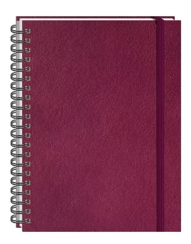 instructor gas Reciclar Libreta Cuaderno Profesional Pasta Dura 100 Hojas | MercadoLibre