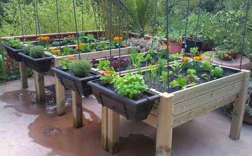 Imagen 10 de 10 de Plato Cuadrado Ideal Maceta Root House 18 O 35 L Cultivo