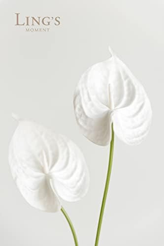 Lings Moment Flores De Antúrio Branco, 8 Peças De Plantas D