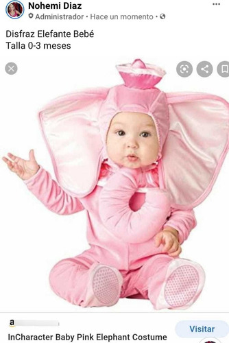 Disfraz De Elefante Bebé 0-3 Meses. In Character (Usado)