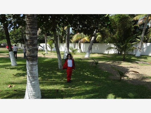 Imagen 6 de 12 de Terreno En Venta El Bayo