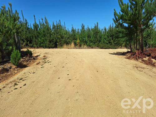 Sitio Vista Amplia En Venta En Pichilemu