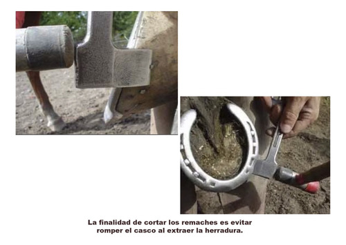 Desclavador Quita Clavos Para Caballo Herrar Herramienta