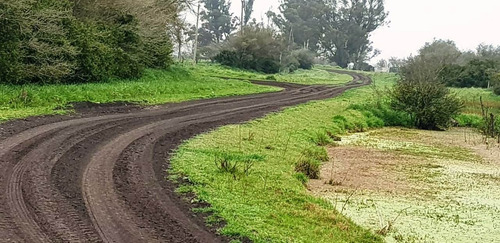 Imagen 9 de 21 de Campo En General Madariaga-