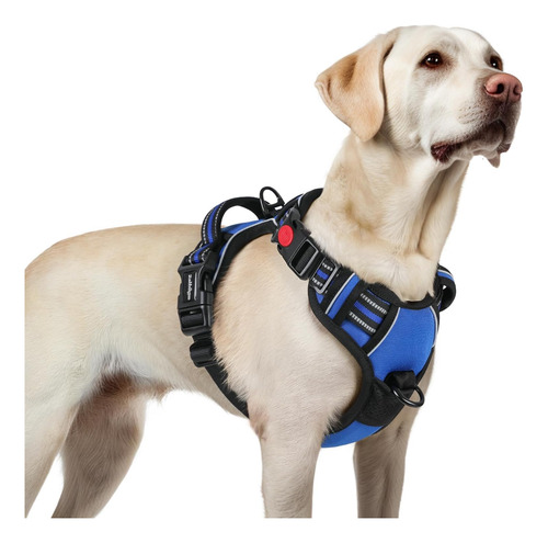 Arnés Para Perros Grande Rabbitgoo, Ajustable, Sin Tirones,