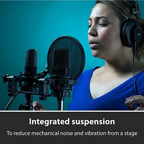 Condensador Profesional De Diafragma Grande Akg Pro Audio C2