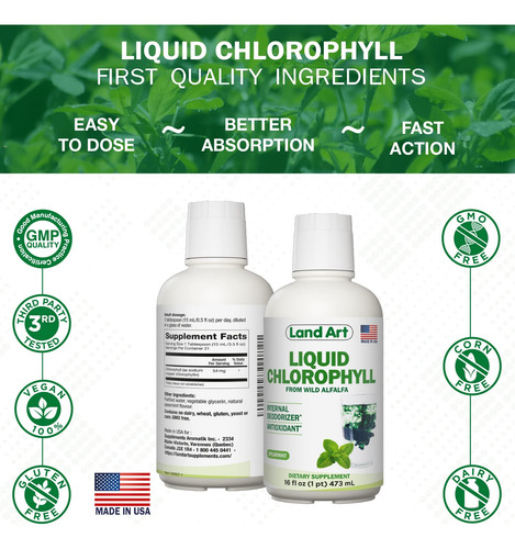 Land Art Clorofila Líquida Sabor Menta 16 Oz Detox