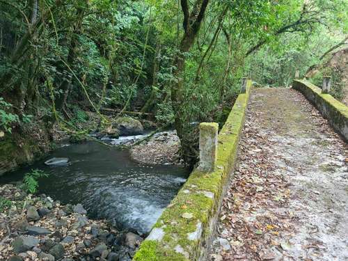 Rancho 100 Hectáreas | Temascaltepec , Edo. De México