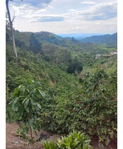Se Vende Finca Córdoba Quindío