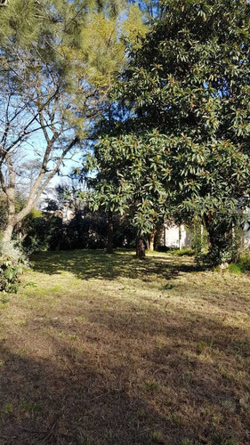 Imagen 6 de 8 de Lote Terreno En Barrio Abierto El Descanso, La Lonja Pilar