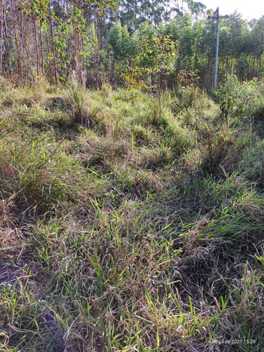 Imagem 3 de 11 de Gabs Visite Já Nosso Empreendimento Em Igaratá, Aproveite