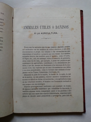 Animales Útiles Y Dañinos A La Agricultura 1882 Libro Antigu (Usado)