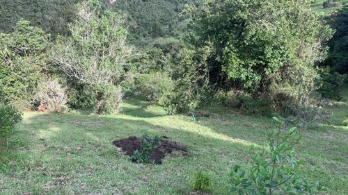 Lote En Venta En San Jose De La Concepción. Cod V20134