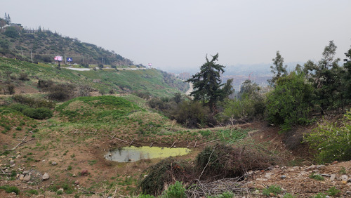 Venta Terreno 6000 M2 En Lo Curro Vitacura