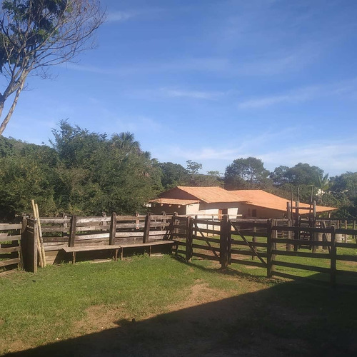 Imagem 10 de 14 de Fazenda - Jaranapolis- 52 Alqueires - Infraestrutura Complet - 16