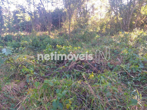 Imagem 12 de 25 de Venda Chácara Zona Rural São Sebastião - 807249