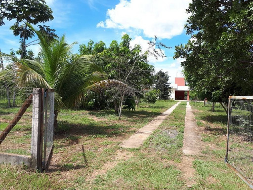Imagem 8 de 10 de Linda Chacara - 21168