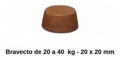 Bravecto Msd Antipulgas E Carrapatos Para Cães De 20 A 40 Kg