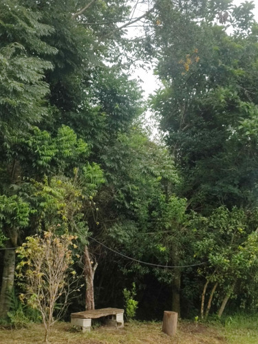 Vende Se Chácara Em Camanducaia Mg