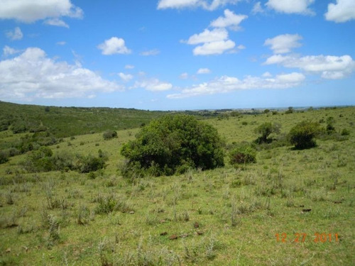 Campo En Venta En Garzón Rural