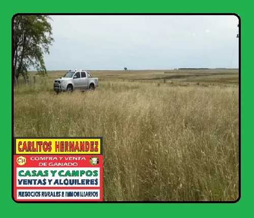 Campo En Paysandu Necesitamos Campos P Arrendar Se Ofrece Garantia