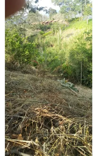 Venta De Lote Calarca