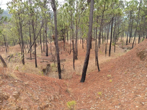 Impresionante Terreno De 400 Hectáreas!