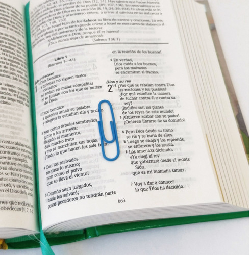 Imagen 3 de 6 de Biblia Para Niños Amigos Por Siempre Verde Lenguaje Actual