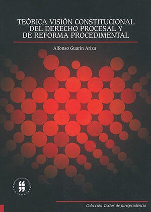Libro Teorica Visión Constitucional Del Derecho Pro Original