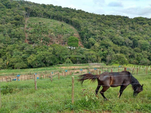 Imagem 14 de 17 de Sítio Com 1 Dormitório À Venda, 24000 M² Por R$ 380.000,00 - Verava - Ibiúna/sp - Si0167