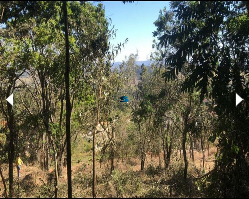 Imagem 9 de 12 de Terreno Em Condomínio - Tc00193 - 70044666