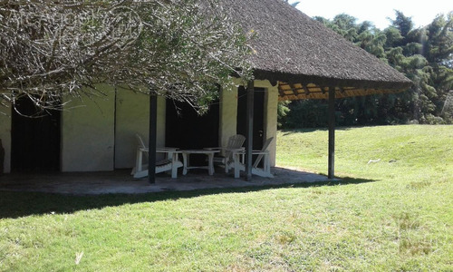 Casa En Alquiler Temporario- Punta Del Este