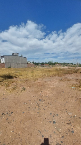 Venta Terreno / Lote Plottier